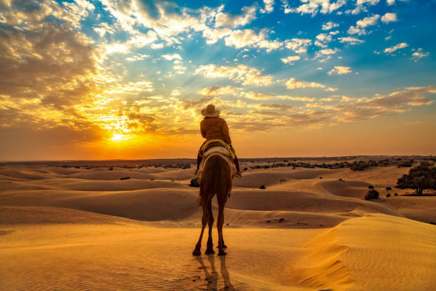 touriste féminin apprécient la promenade de chameau au rajasthan de jaisalmer de désert de thar au coucher du soleil - india rajasthan thar desert travel photos et images de collection