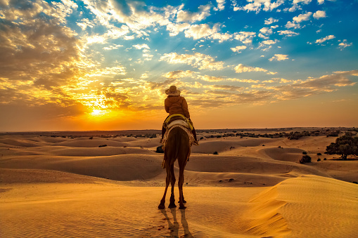 Female tourist on camel safari at the Thar desert Jaisalmer Rajasthan at sunset with moody sky.
