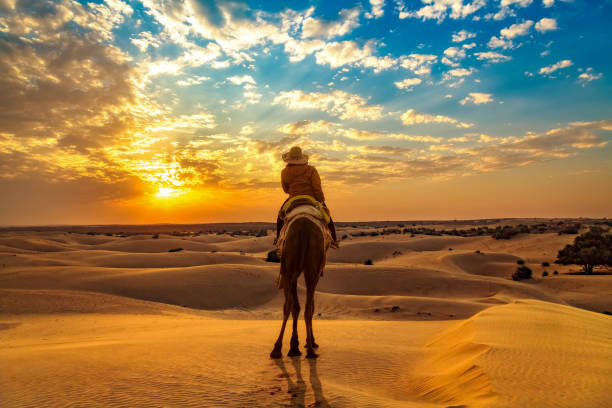 7,700+ Jaisalmer Desert Stock Photos, Pictures & Royalty ...