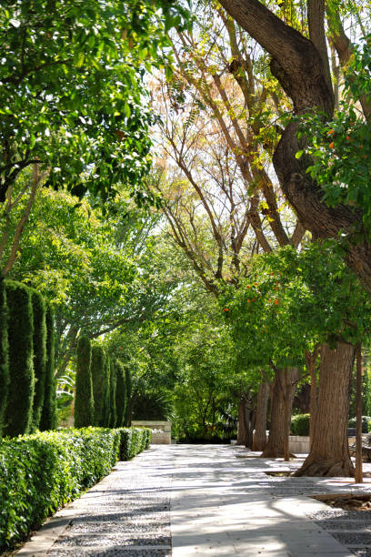 istock Park near Cathedral in Palma de Mallorca, Spain 1160319475