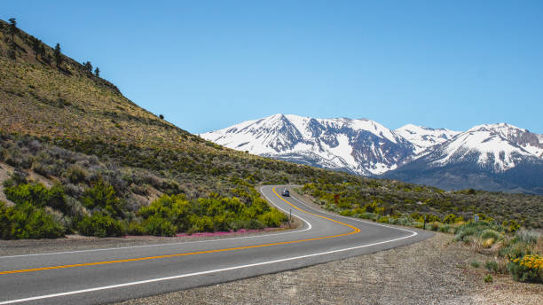 istock Mono County Road Trip, California 1160322222