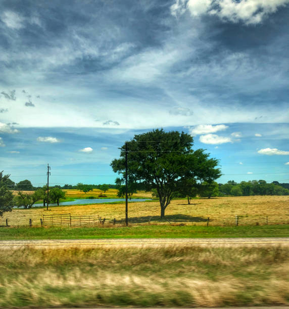 On a blue, cloud filled day, a tree & pond sit on rural land in Texas.