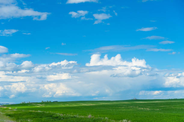 istock Summer outdoor fields in Alberta with clouds banks in the sky 1160328519