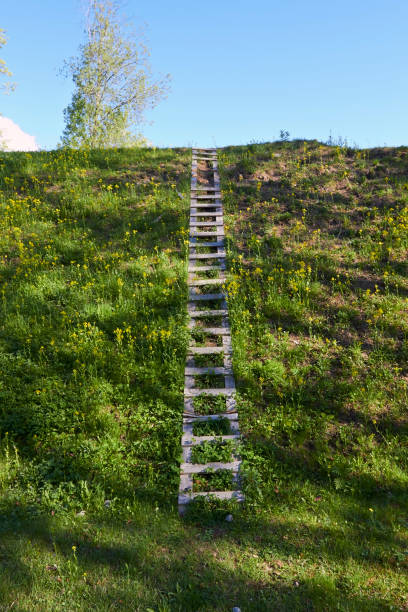 old wooden ladder on ground