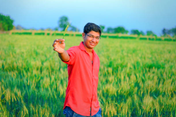 istock Young indian farmer at field 1160335040