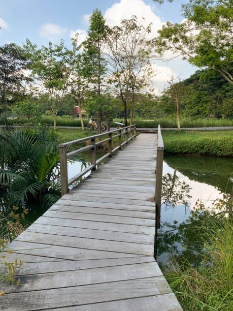 istock wooden bridge in the park 1160338442