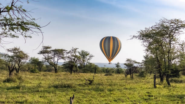 istock Air balloon above the savannah 1160339957