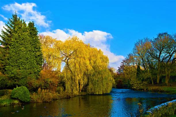 istock Autumn in Ashton on the water, Derbyshire 1160343028