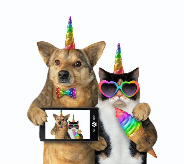 istock Dog with a cat unicorn made selfie 1160344316