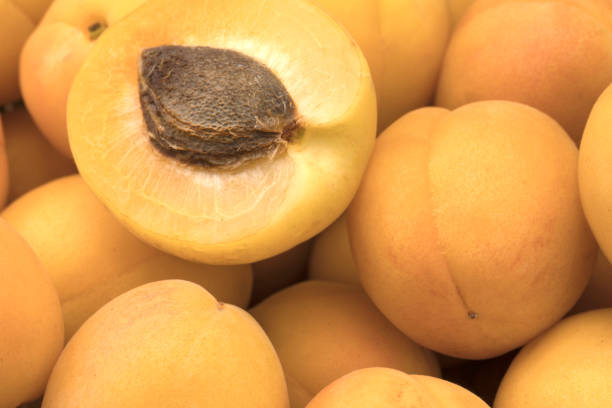 istock Fresh apricots on a wooden table with a basket 1160344334