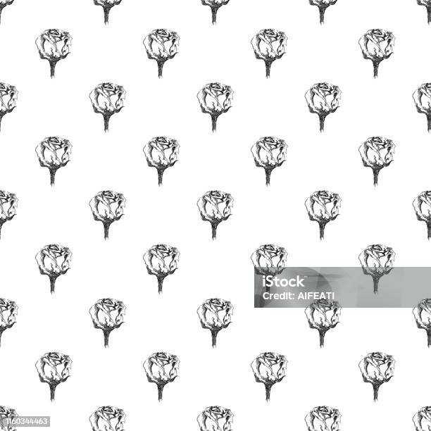 Flower Pattern Roses Outline Seamless Freehand Pattern Of Abstract Rose Flowers Isolated On White ...