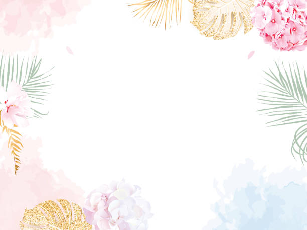 Trendy simple flat lay design vector horizontal background Trendy simple flat lay design vector horizontal background. Pink and lilac white hydrangea, palm leaves, golden shimmer monstera, watercolor style coral texture. Spring card. Isolated and editable summer beauty stock illustrations