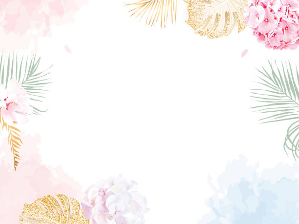 Trendy simple flat lay design vector horizontal background Trendy simple flat lay design vector horizontal background. Pink and lilac white hydrangea, palm leaves, golden shimmer monstera, watercolor style coral texture. Spring card. Isolated and editable watercolor flower stock illustrations