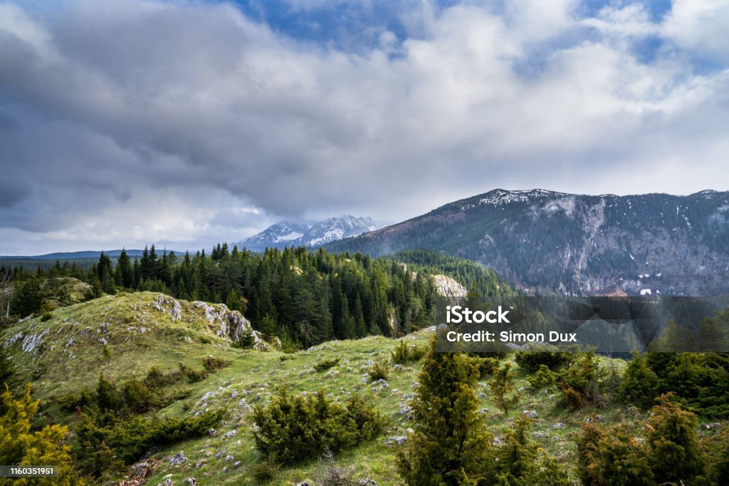 Montenegro, Endless natural untouched alpine nature landscape of trees and snow covered mountains from peak of mount curevac at dawn in durmitor national park near zabljak Alpine climate Stock Photo