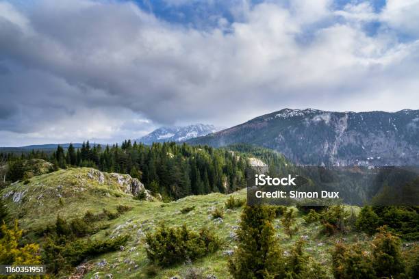 Montenegro Endless Natural Untouched Alpine Nature Landscape Of Trees And Snow Covered Mountains From Peak Of Mount Curevac At Dawn In Durmitor National Park Near Zabljak Stock Photo - Download Image Now