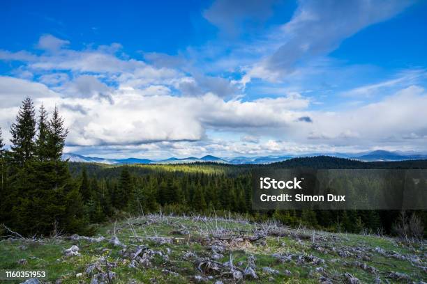 Montenegro Endless View South From Mount Curevac Over Green Trees Of Forested Nature Landscape In Highlands Of Durmitor National Park Near Zabljak At Sunset Stock Photo - Download Image Now