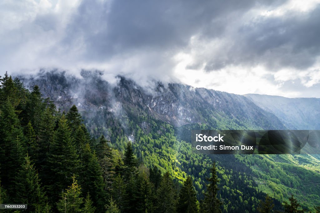 Montenegro, Green trees covering majestic giant tara river canyon nature landscape with dramatic sky from above curevac mountain Atmospheric Mood Stock Photo