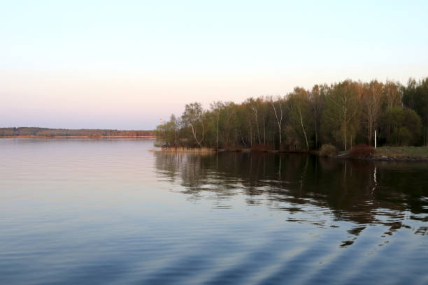 istock Birch grove on banks of Volga 1160357224