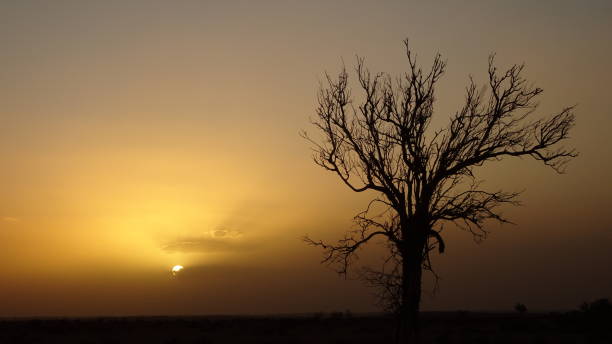 istock Tibooburra dust storm, NSW 1. 1160358699