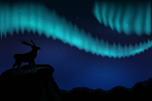 Landscapes northern lights in the starry sky and  with silhouette of deer on mountains. vector eps10 Landscapes northern lights in the starry sky and  with silhouette of deer on mountains. alaska northern lights stock illustrations