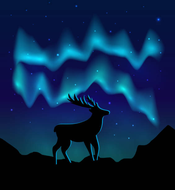 Landscapes northern lights in the starry sky and  with silhouette of deer on mountains. vector eps10 Landscapes northern lights in the starry sky and  with silhouette of deer on mountains. alaska northern lights stock illustrations