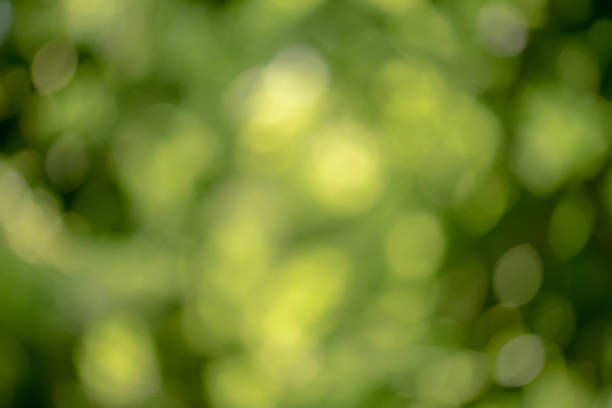 istock Bright round light bokeh on vivid green emerald color background 1160368050