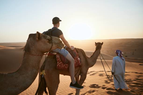 istock Camel riding in desert at sunset 1160368097