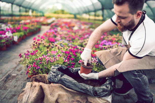 istock Happy Male Planting Flowers 1160368385