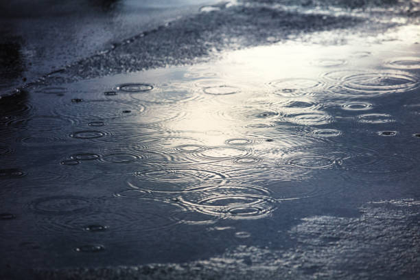 rain puddles on a pavement in the city - water puddle imagens e fotografias de stock