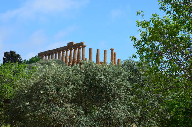 templo griego antiguo del valle juno del templo, agrigento - greek culture agrigento landscape colonnade fotografías e imágenes de stock