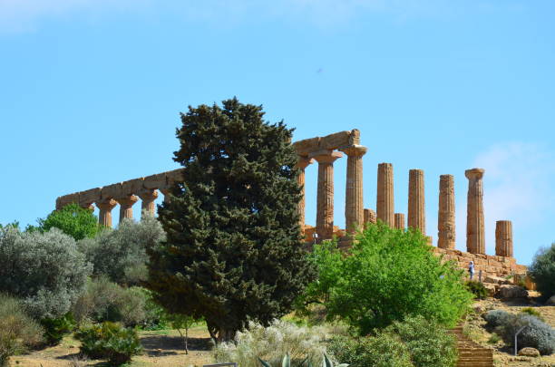 templo griego antiguo del valle juno del templo, agrigento - greek culture agrigento landscape colonnade fotografías e imágenes de stock