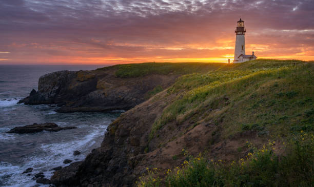 yaquina head lighthouse at sunset - newport oregon imagens e fotografias de stock