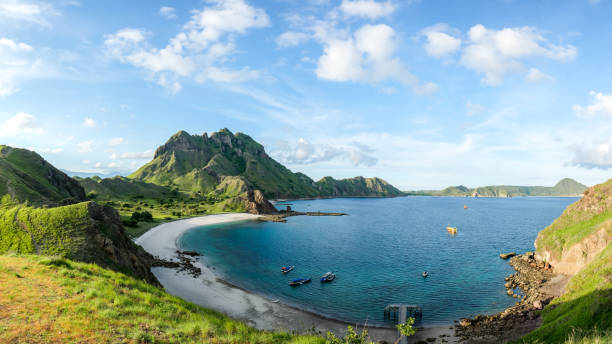 ein fischernetz mit einem vollen transport von verschiedenen süßwasserfischen. fische im fischernetz - labuanbajo stock-fotos und bilder