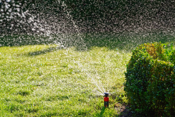 istock Automatic lawn sprinkler while watering in the garden 1160375307