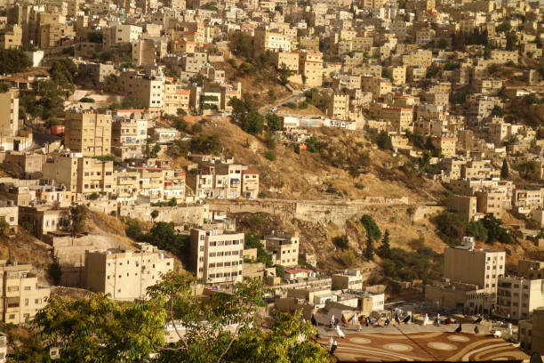 istock Birds of Amman 1160377501
