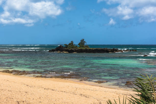 istock The coast along Kawela Beach, Oahu, Hawaii 1160382626