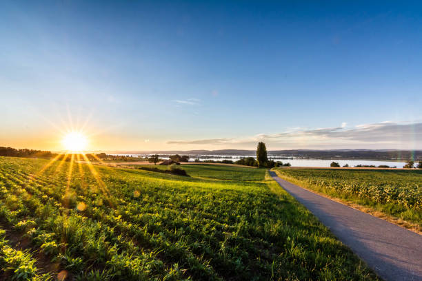 Sunset above the Lake Constance in Switzerland stock photo