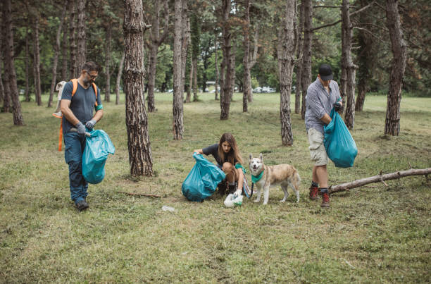 istock Family cleaning park 1160383590