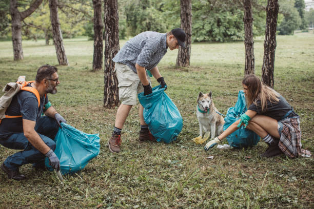 istock Family cleaning park 1160384361