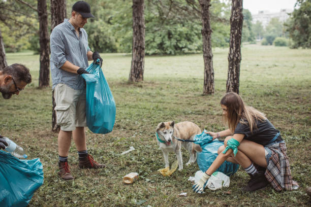 istock Family cleaning park 1160384558