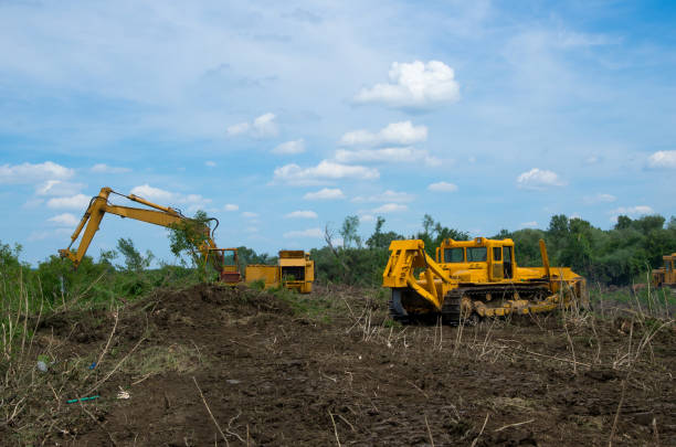 istock Bulldozer and excavator. Mechanical Site Preparation for Forestry. 1160384603