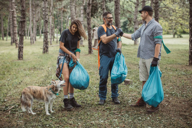 istock Family volunteers cleaning park 1160385497
