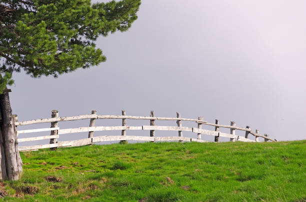 Green meadow with part of a tree and old wooden fence on a summer day. In the background a cloudy blue gray sky. Landscape format with copy space.