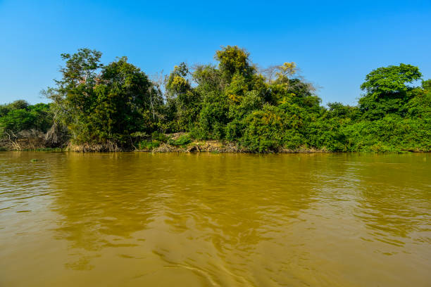 istock landscape of river and jungle 1160387376