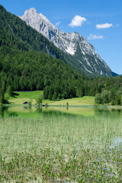 istock Alpine Lake in Bavaria 1160389495