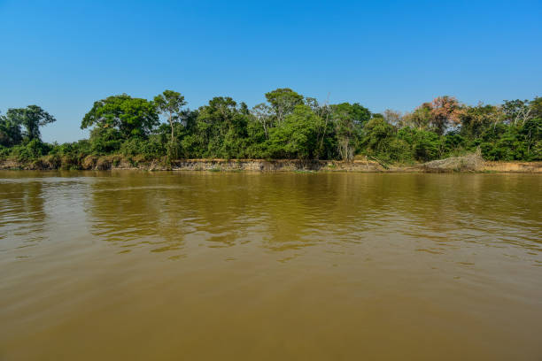 istock landscape of river and jungle 1160389802
