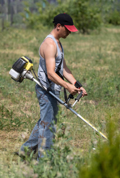 istock A man with a gasoline trimmer 1160389833