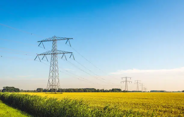 Long row of high power pylons in a field with golden wheat plants. It is a sunny day with a blue sky in the Dutch summer season.