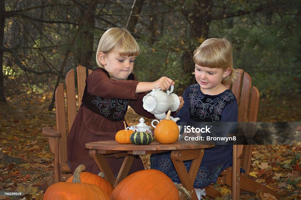 Tea Party na floresta - Foto de stock de Chá da Tarde royalty-free