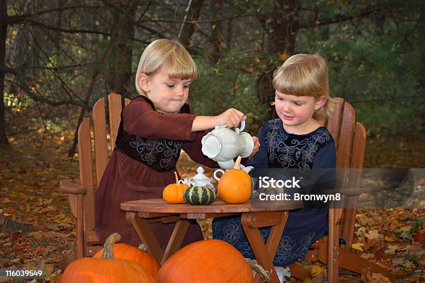 Foto de Tea Party Na Floresta e mais fotos de stock de Chá da Tarde - Chá da Tarde, Criança, Filho - Família